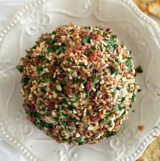 A bird's eye view of a Christmas Cheese Ball on a decorative cream plate.