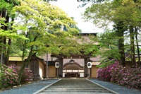 高野山金剛峰寺（和歌山県）