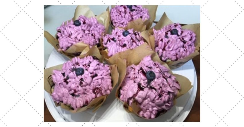 Berrylicious Blueberry Cupcakes