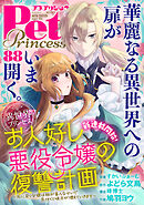 プチプリンセス　vol.88 2024年8月号（2024年7月1日発売）