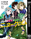 自重しない元勇者の強くて楽しいニューゲーム 12