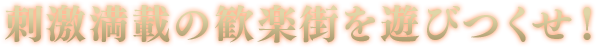 刺激満載の歓楽街を遊びつくせ！