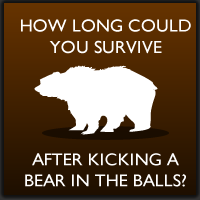 How long could you survive after punching a bear in the balls?