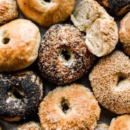 overhead image of a variety of bagels