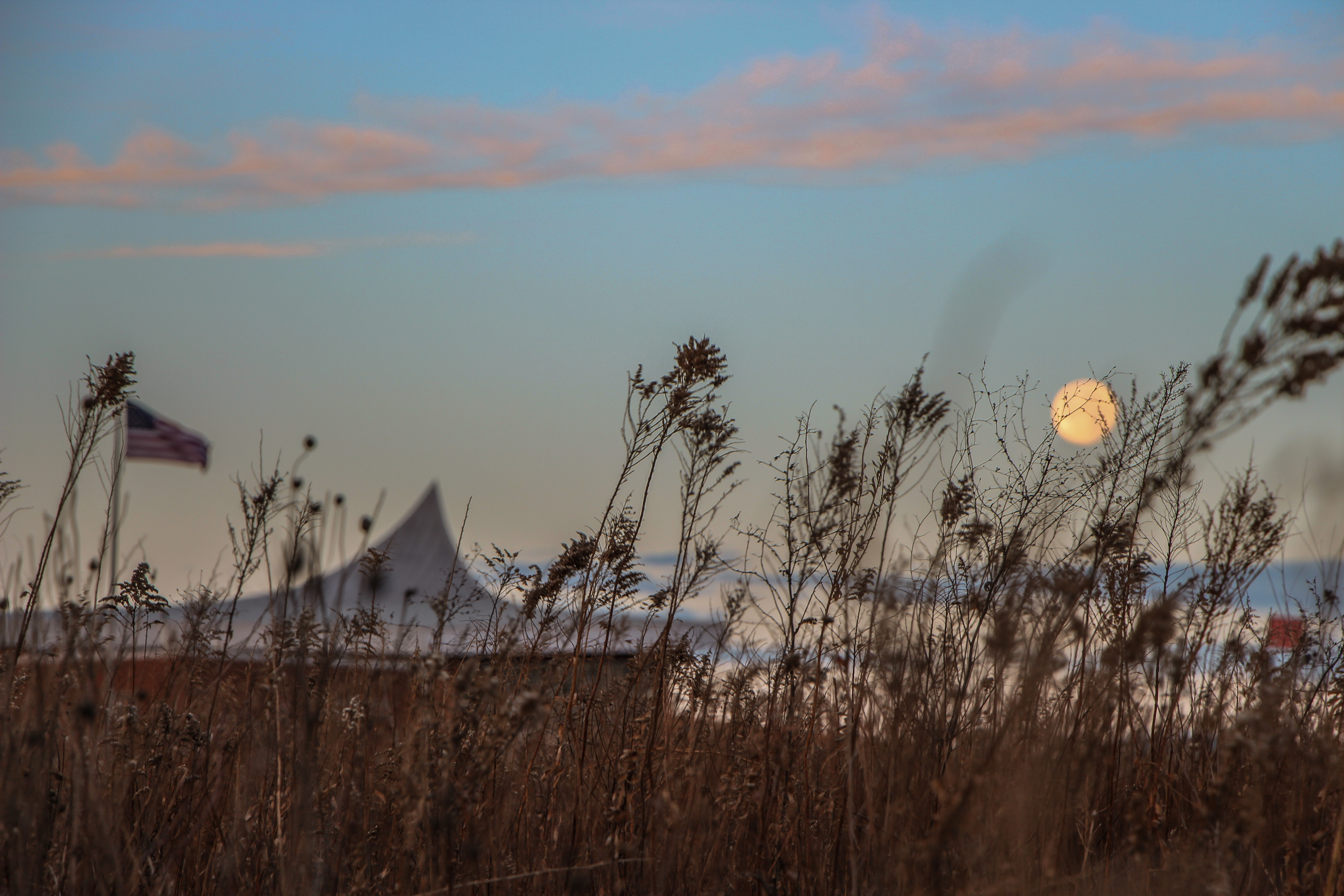 The Next Full Moon is the Wolf Moon