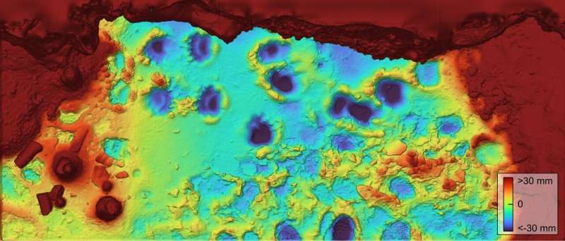 First scientific study on cave bear tracks in the Iberian Peninsula