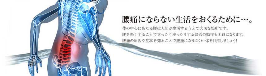 腰痛にならない生活をおくるために…。体の中心にあたる腰は人間が生活するうえで大切な場所です。腰を悪くすることで立ったり座ったりする普通の動作も困難になります。腰痛の原因や症状を知ることで腰痛になりにくい体を目指しましょう！