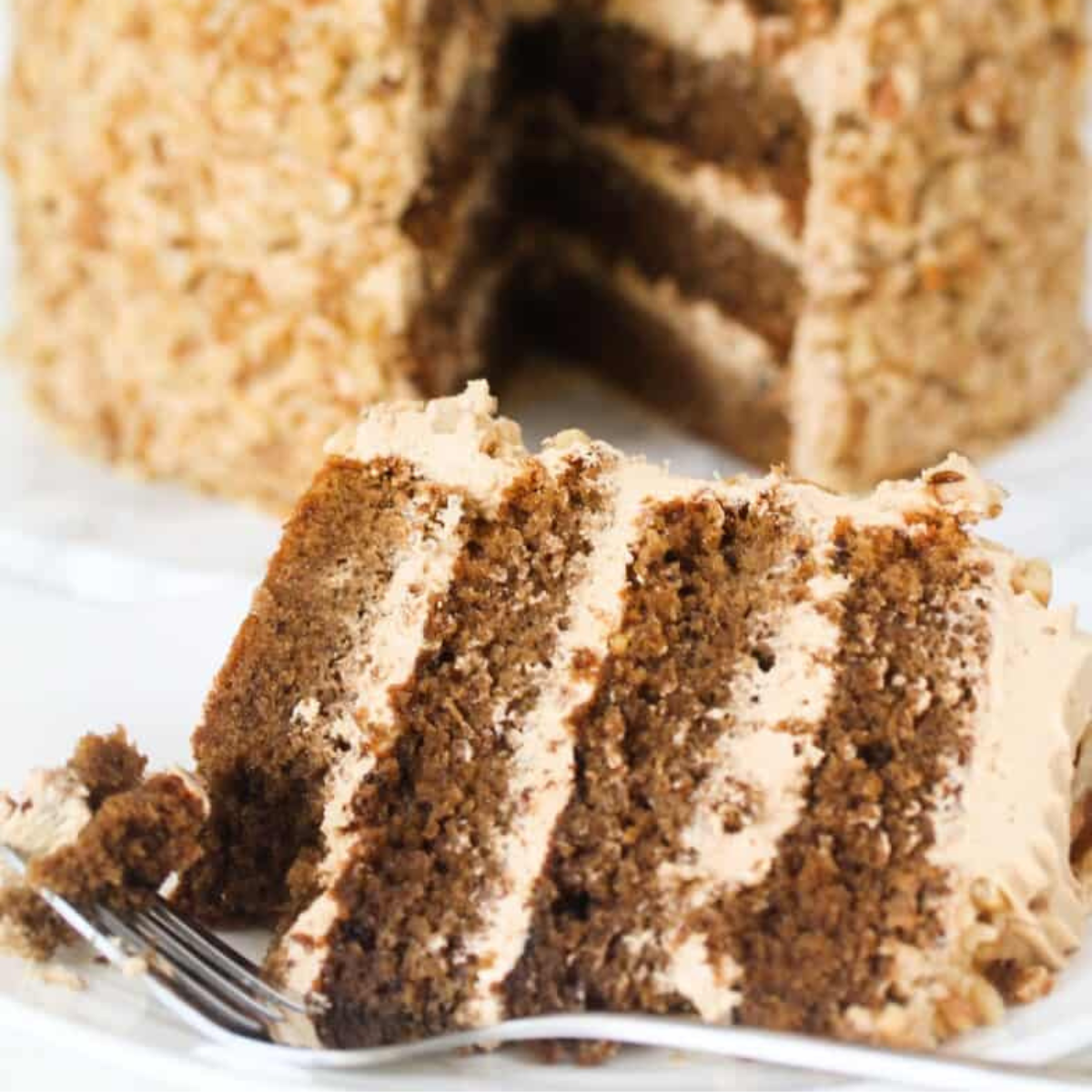 a slice of walnut and coffee cake.