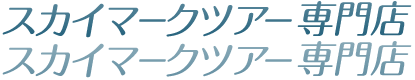 スカイマークツアー専門店