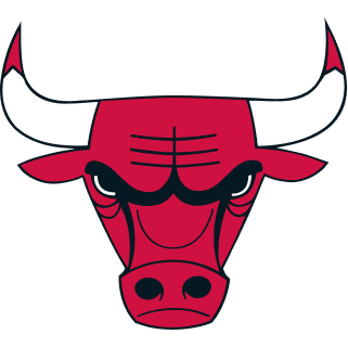 Chicago Bulls logo