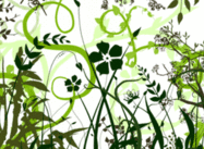 Vector Follaje-Plantas Photoshop Brushes