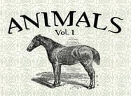 Animals Vol. I