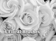 6 Stunning Floral Brushes