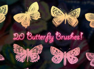 20 Butterfly Brushes