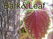 Bark & leaf