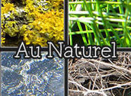 Au Naturel--Nature-y Textures