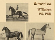 Vintage Brushes Horses in America