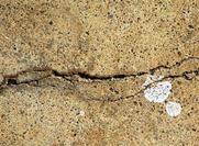 Free Cracked Wall Texture 