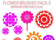 Flower Brushes Pack 3