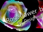 Rose flower brushes