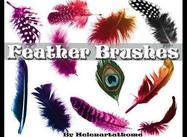 Feather Brushes