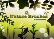 Nature2 Cepillos