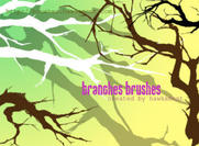 Branches