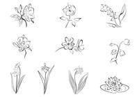 Drawn Flower Brushes