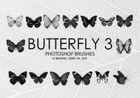 Free Butterfly Photoshop Brushes 3