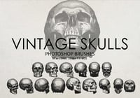 Free Vintage Skulls Photoshop Brushes