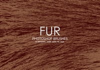 Free Fur Photoshop brushes