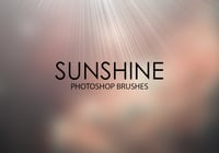 Free Sunshine Photoshop Brushes