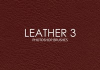 Free Leather Photoshop Brushes 3