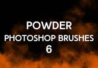 Powder Brushes 6