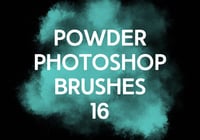 Powder Photoshop Brushes 16