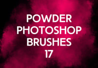 Powder Photoshop Brushes 17