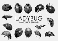 Ladybug Photoshop Brushes