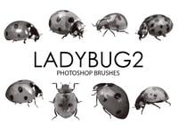 Ladybug Photoshop Brushes 2