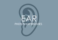 Ear Photoshop Brushes