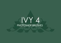 Ivy Photoshop Brushes 4