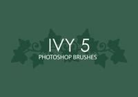 Ivy Photoshop Brushes 5