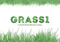 Cepillos de Photoshop Grass 1