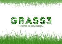 Cepillos de Photoshop Grass 3