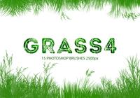 Grass Photoshop Brushes 4