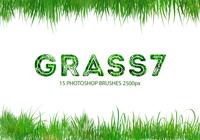 Cepillos de Photoshop Grass 7