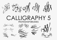 Calligraphy Photoshop Brushes 5