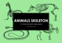 Animals Skeleton Pinceles para Photoshop