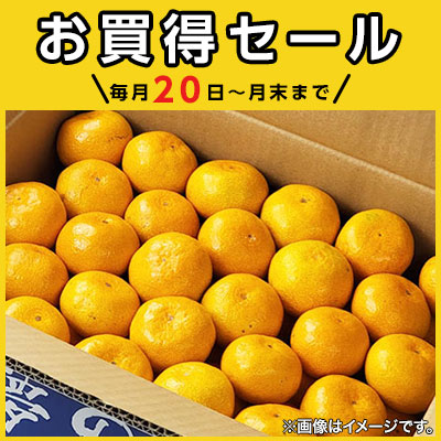 ＼毎月20日～月末まで／イオンショップ お買得セール！開催期間：1月20（月）～1月31日（金）