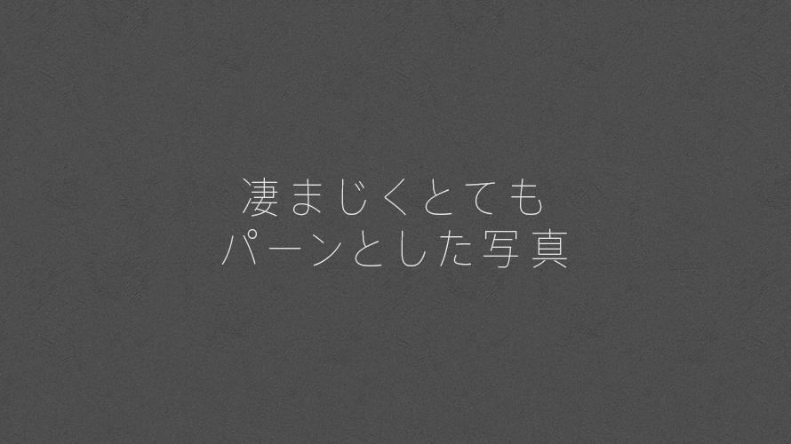 凄まじくとてもパーンとした写真