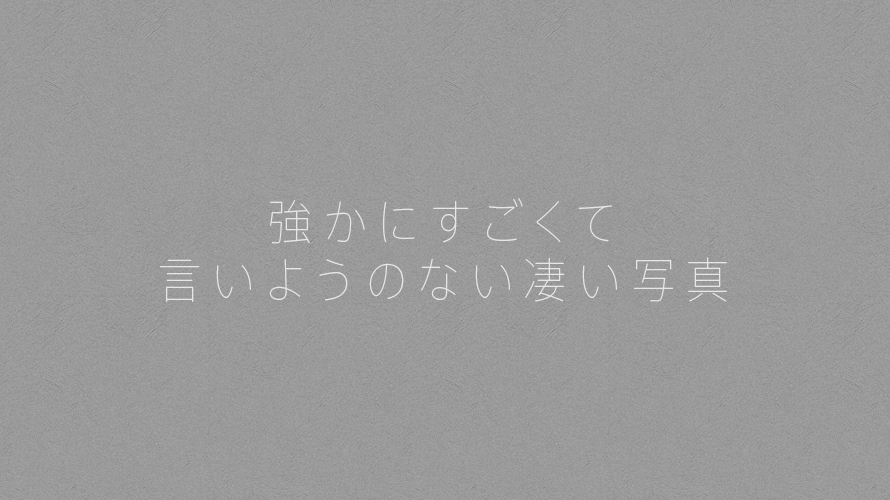 強かにすごくて言いようのない凄い写真